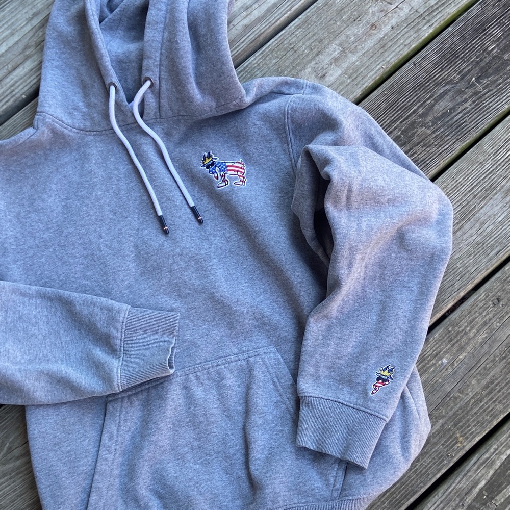 Men's Gray Embroidered Hoodie